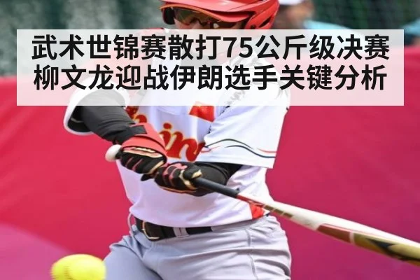 武术世锦赛散打75公斤级决赛柳文龙迎战伊朗选手关键分析